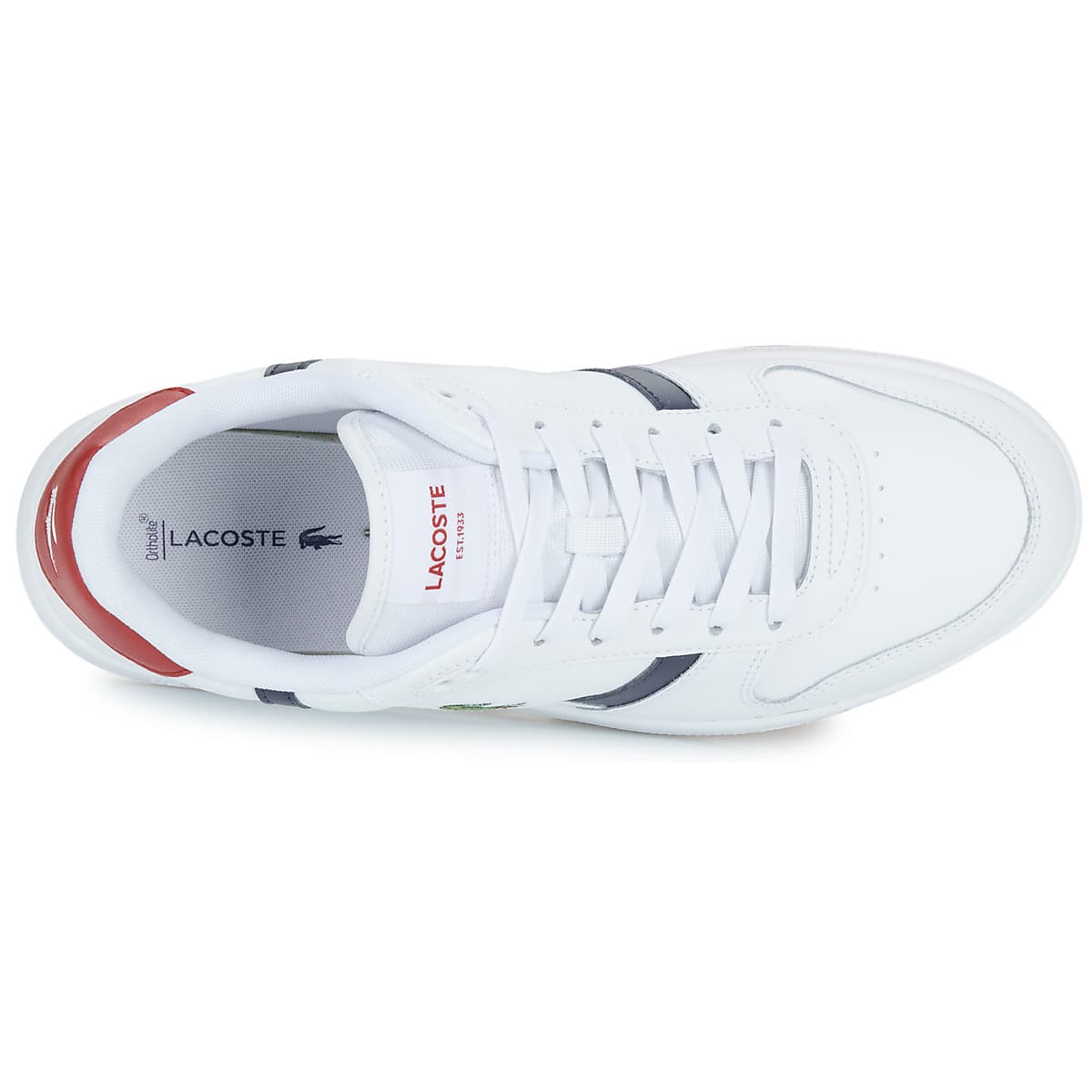 Men's Sneakers Lacoste White