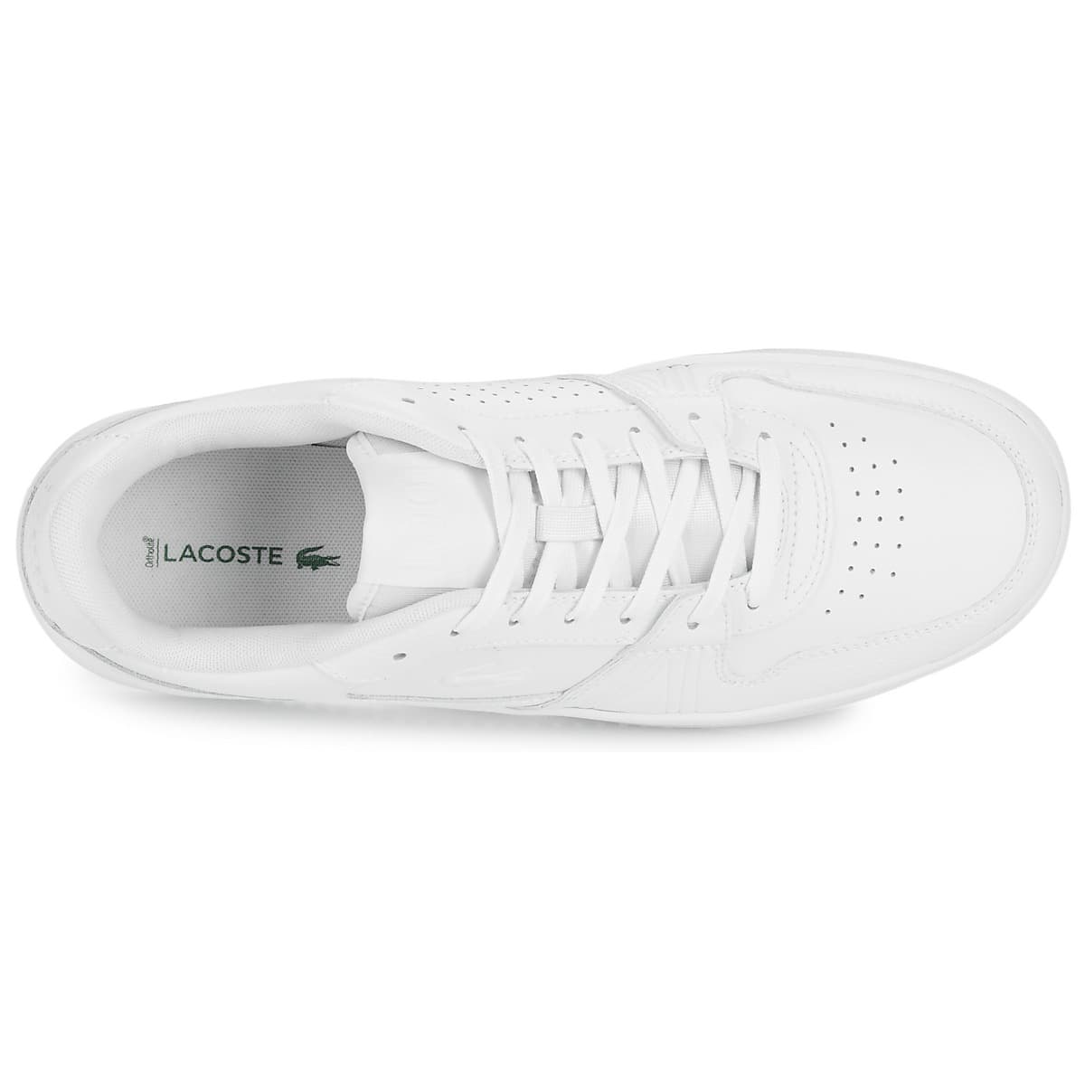Men's Sneakers Lacoste White