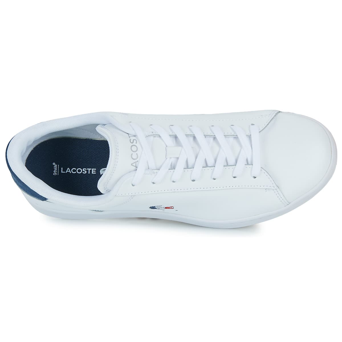 Men's Sneakers Lacoste White