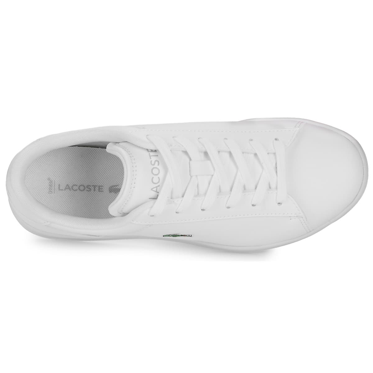 Boys' Sneakers Lacoste White
