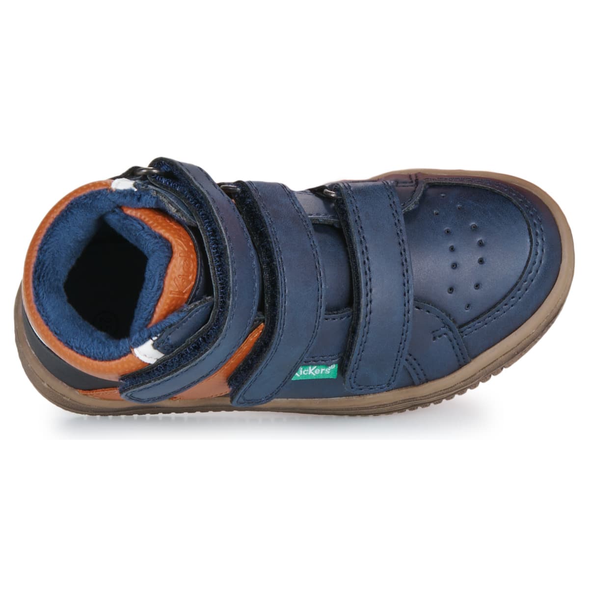 Boys' Sneakers Kickers Blue