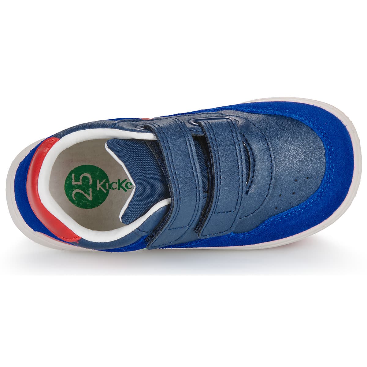 Boys' Sneakers Kickers Blue