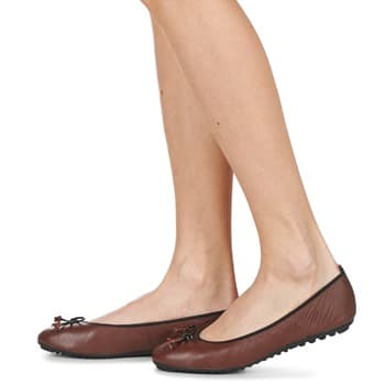 Women's Ballet Flats Mac Douglas Brown