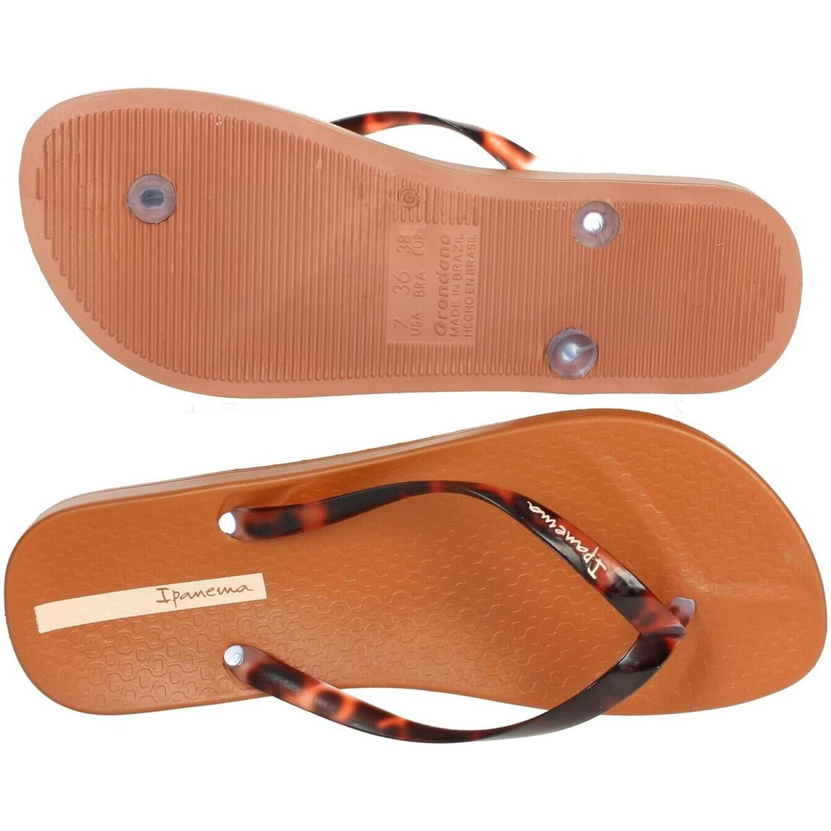 Women's Flip Flops Ipanema Brown