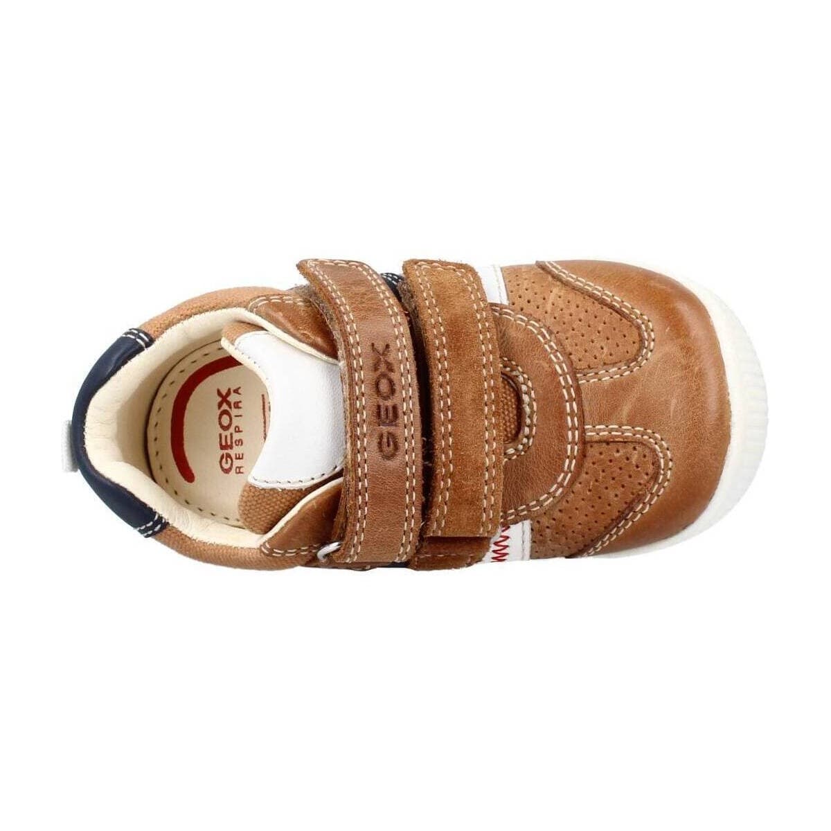 Boys' Dress Shoes Geox Brown