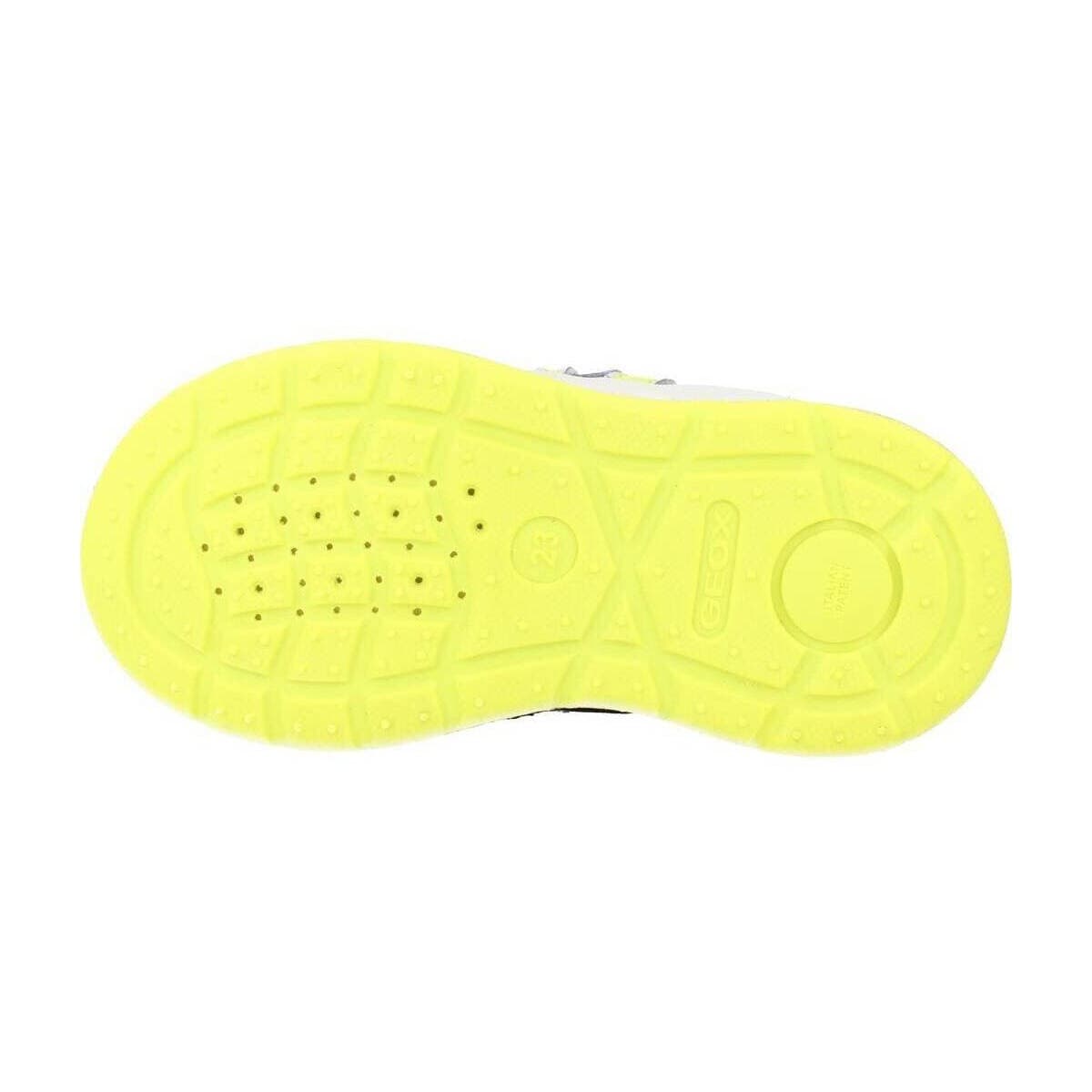 Boys' Sneakers Geox Blue