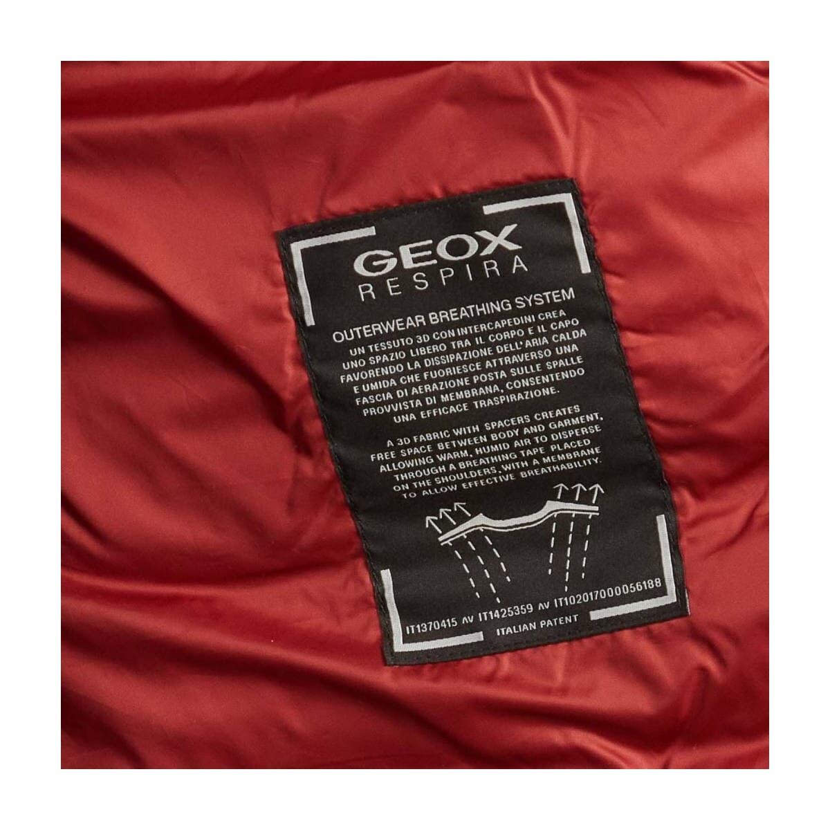 Men's Coats Geox Green