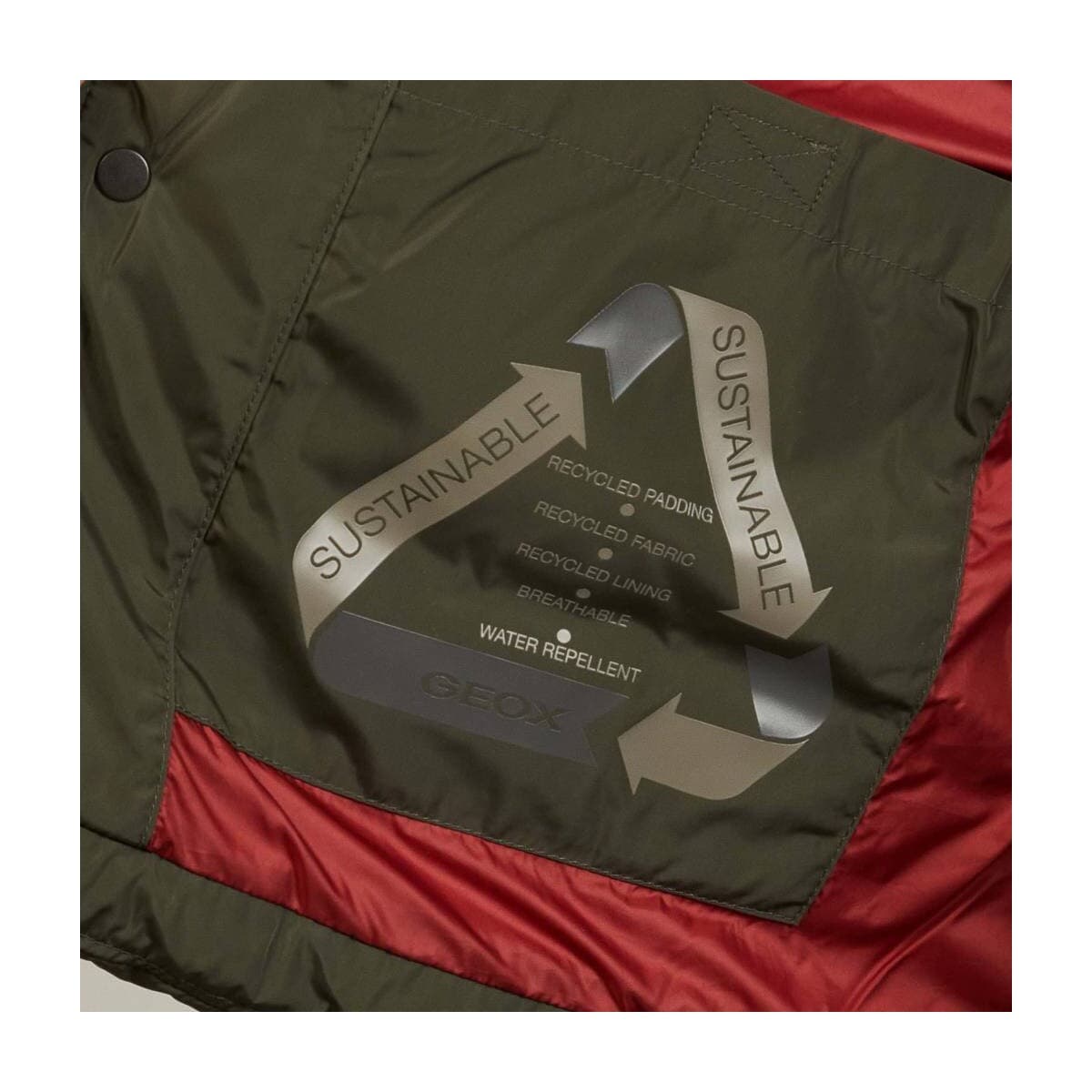 Men's Coats Geox Green