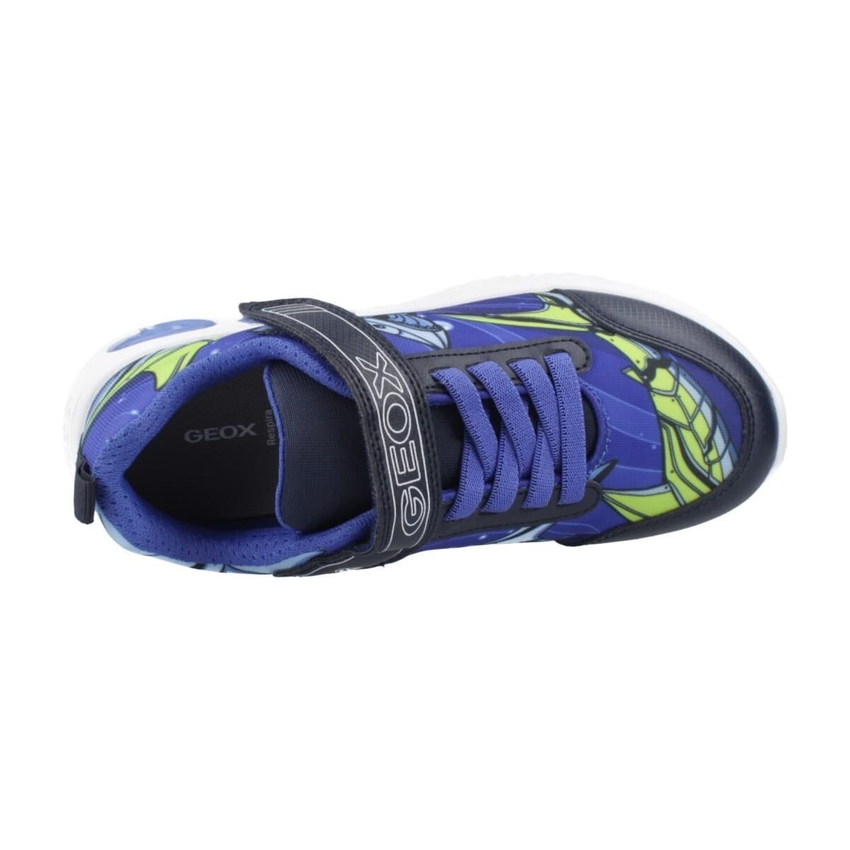 Boys' Sneakers Geox Blue