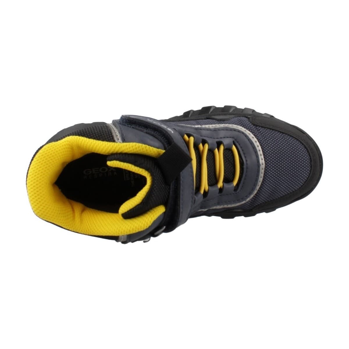 Boys' Boots Geox Blue