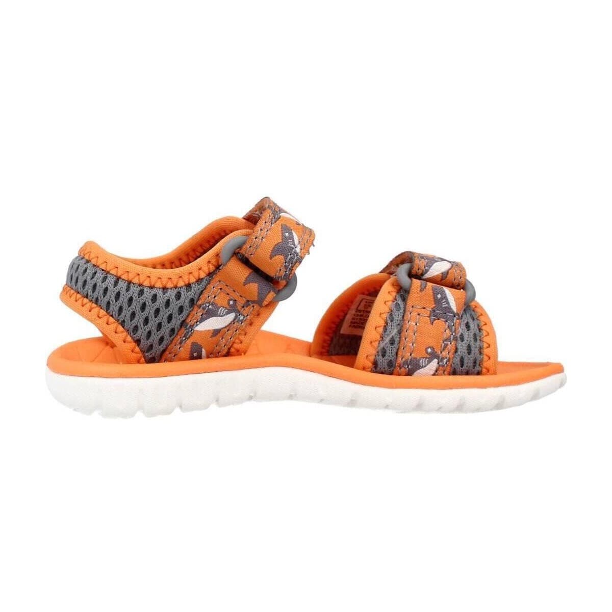 Boys' Flip Flops Clarks Orange