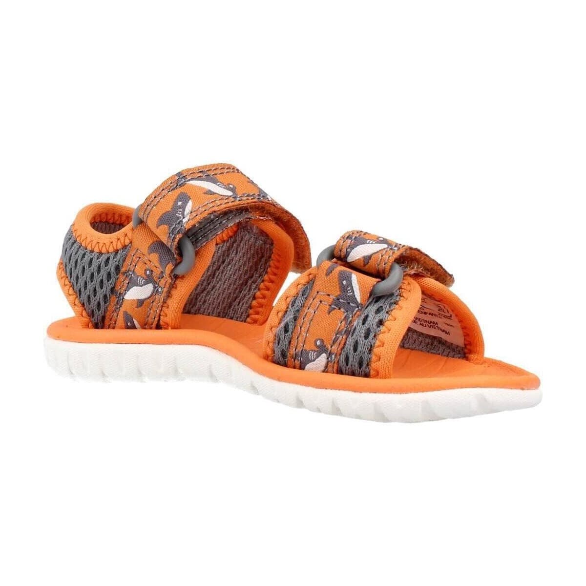 Boys' Flip Flops Clarks Orange