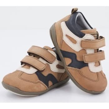 Boys' Dress Shoes Chicco Brown