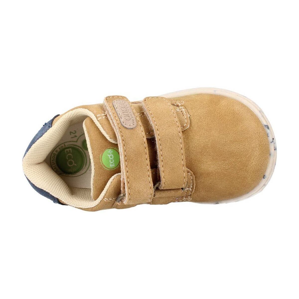 Boys' Dress Shoes Chicco Brown