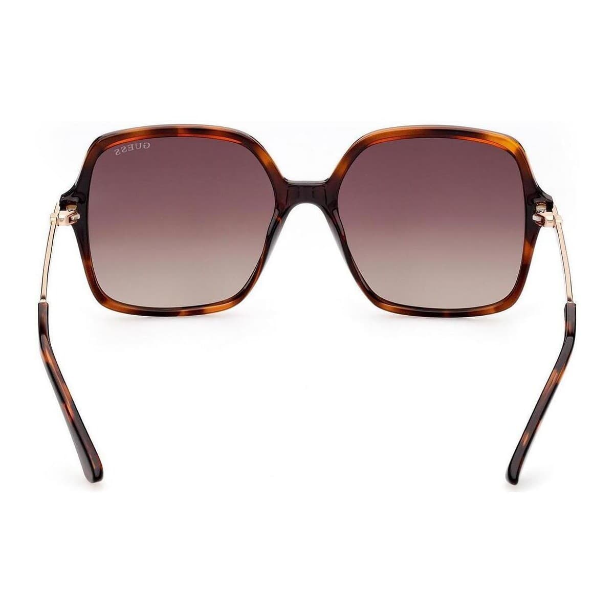 Women's Sunglasses Guess Brown