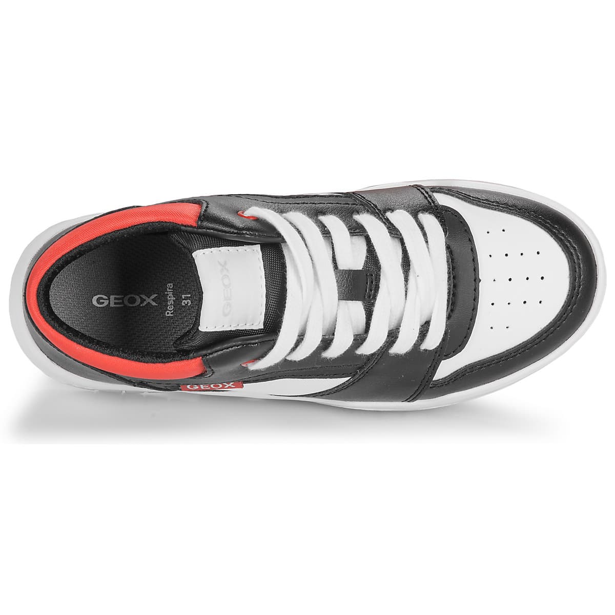 Boys' Sneakers Geox Black