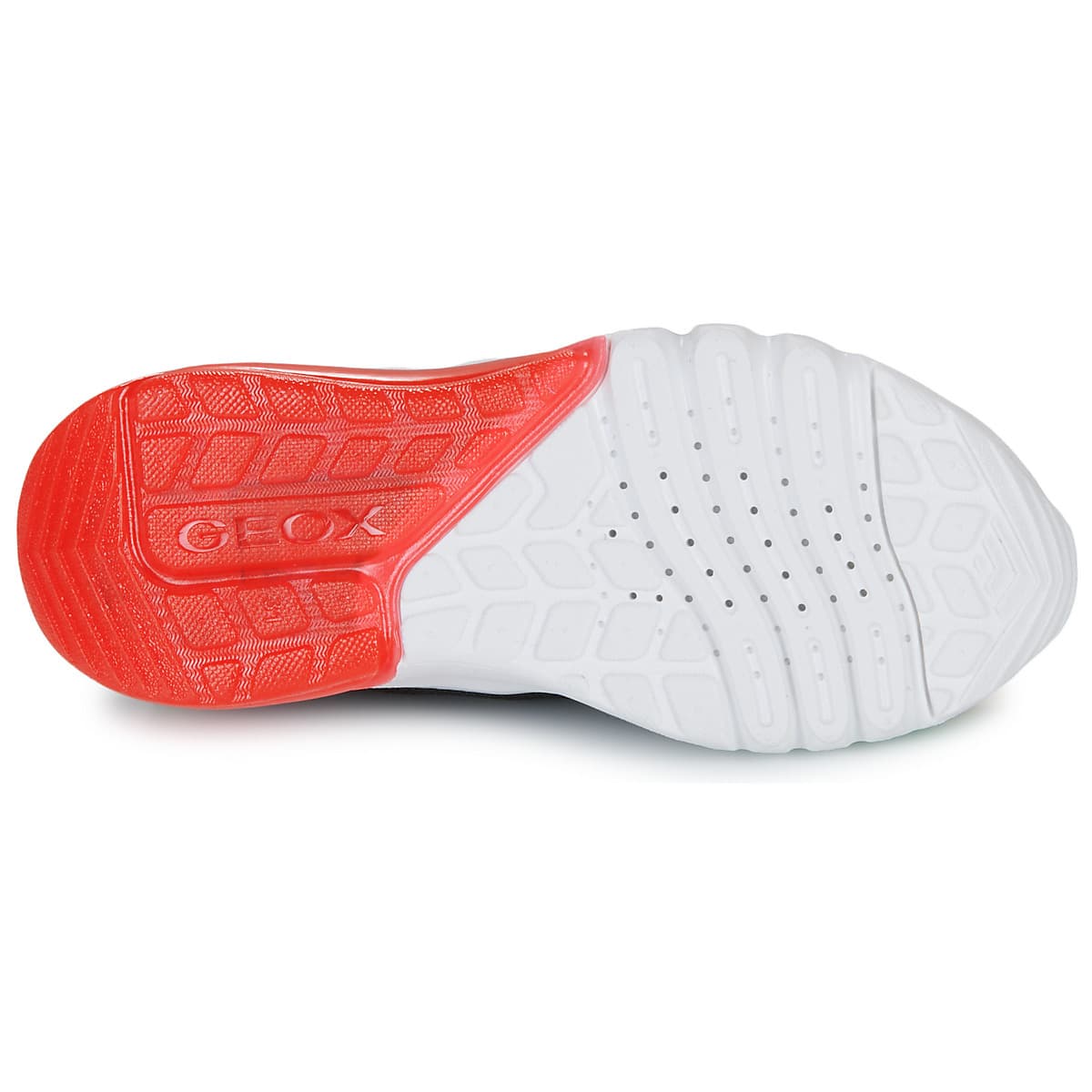 Boys' Sneakers Geox Multicolor