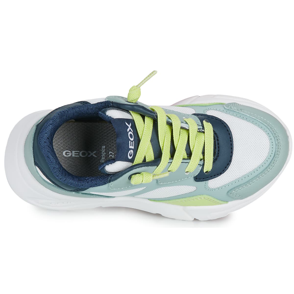 Boys' Sneakers Geox Multicolor