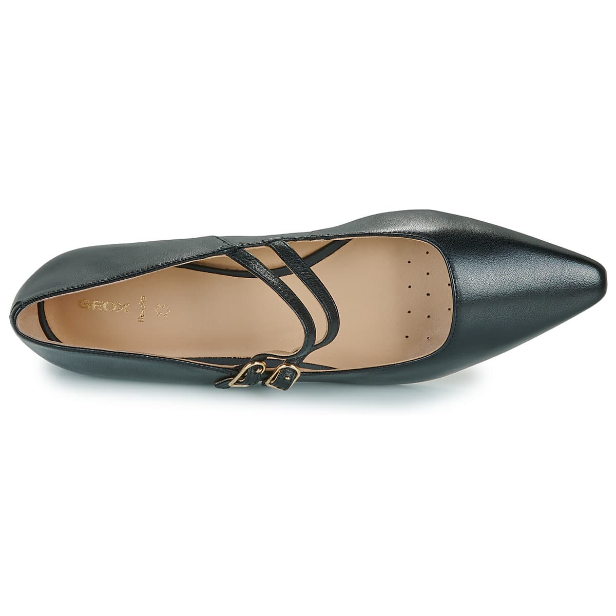 Women's Ballet Flats Geox Black