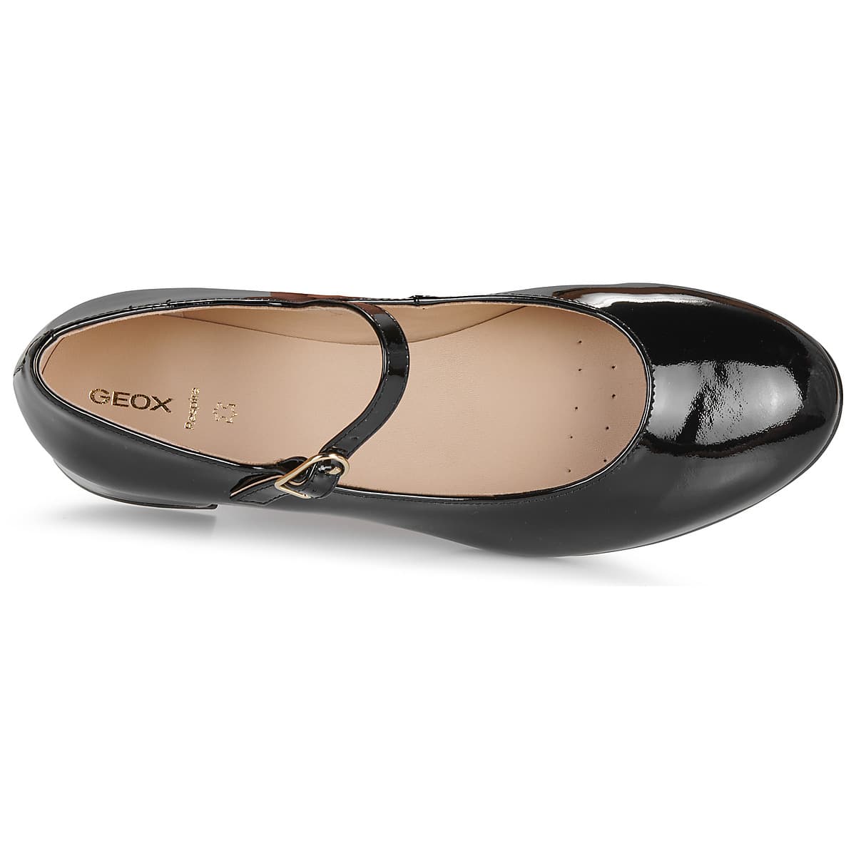 Women's Ballet Flats Geox Black