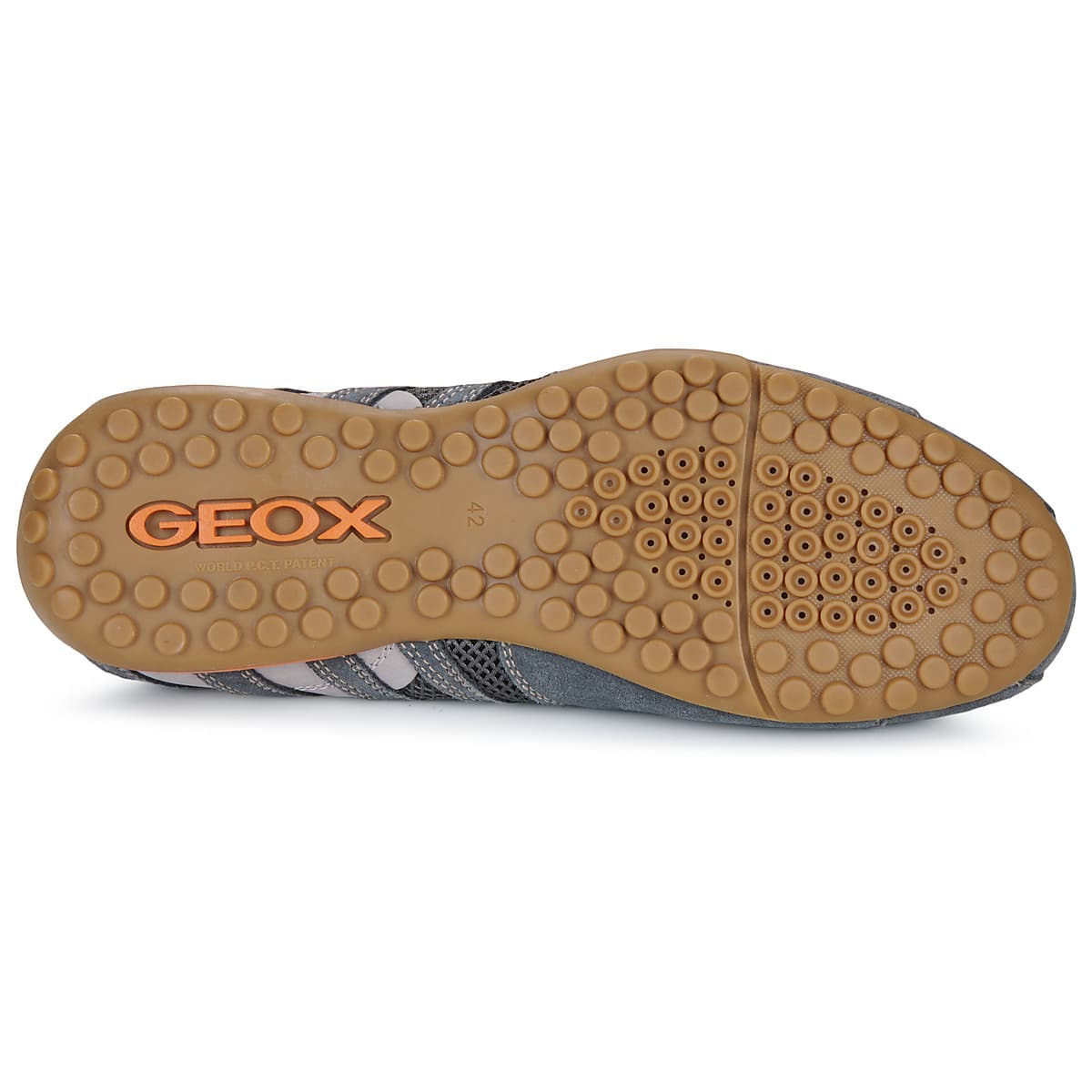 Men's Sneakers Geox Gray