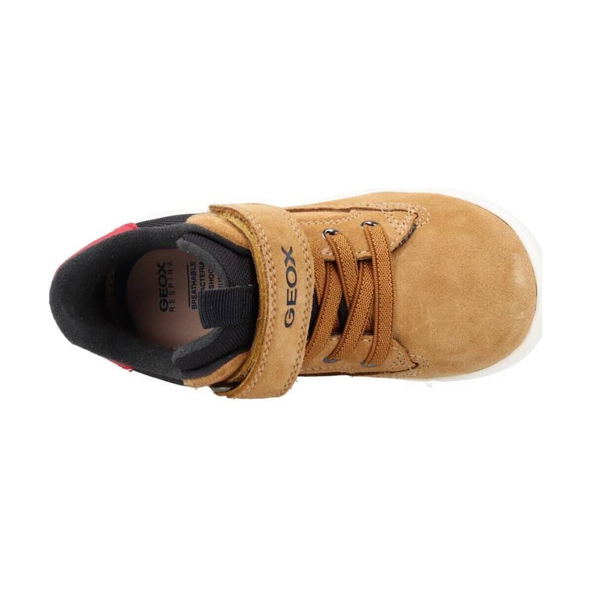 Boys' Sneakers Geox Brown