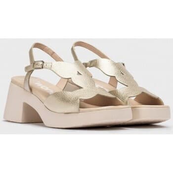 Women's Pumps Wonders Gold