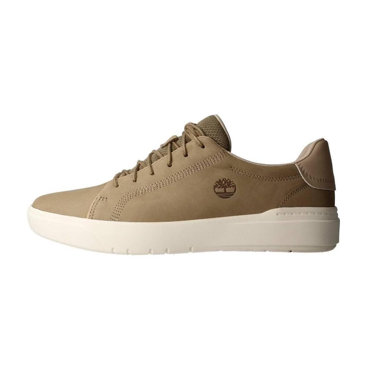 Men's Sneakers Timberland Brown