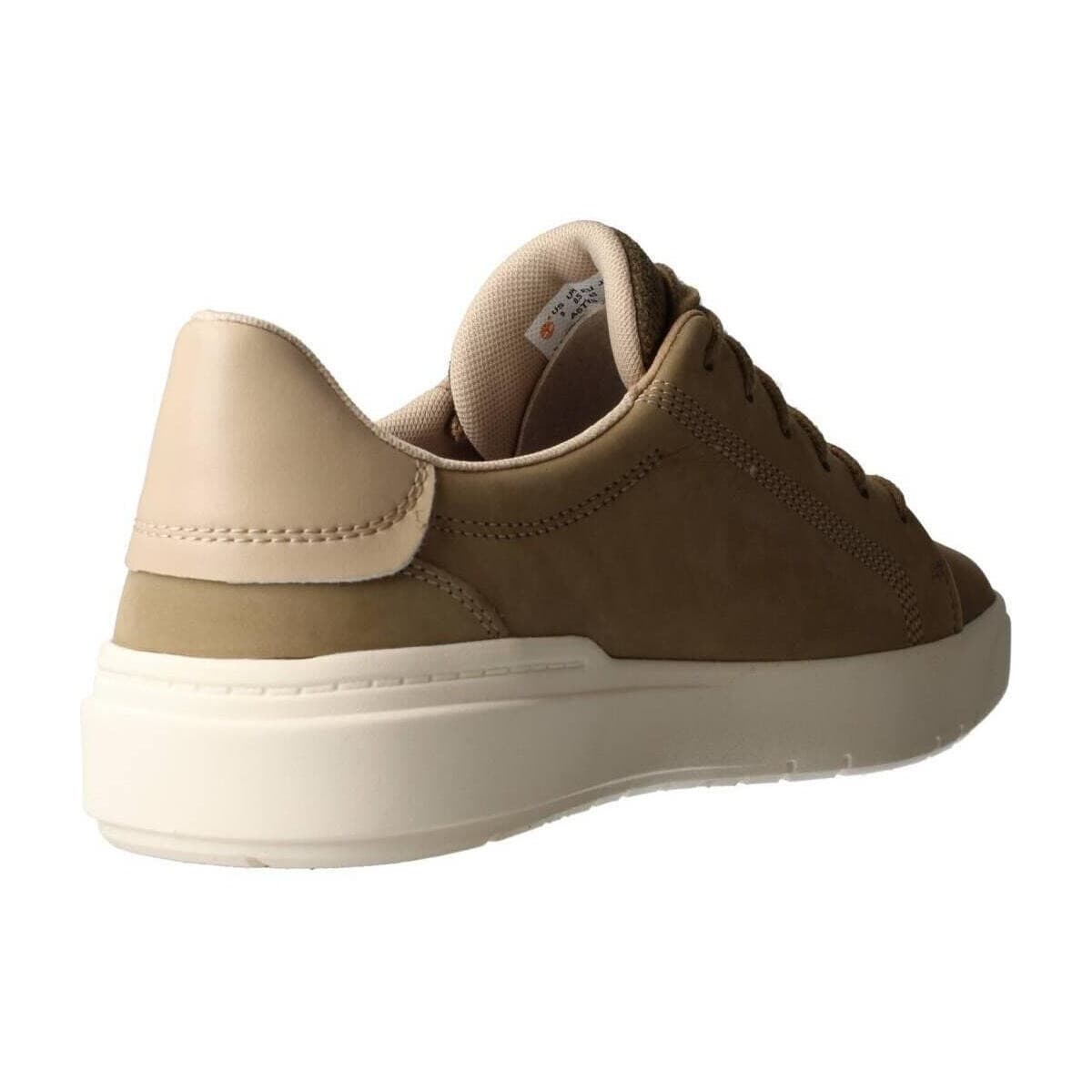 Men's Sneakers Timberland Brown