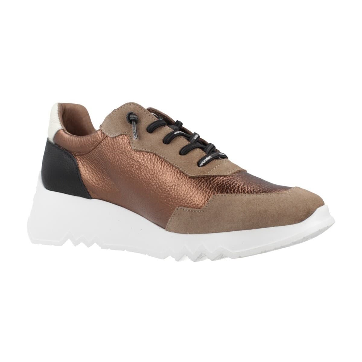 Women's Sneakers Wonders