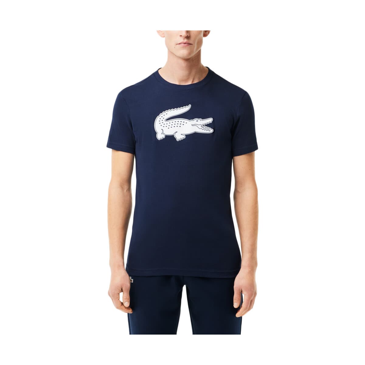 Men's T-Shirts Lacoste Multicolor