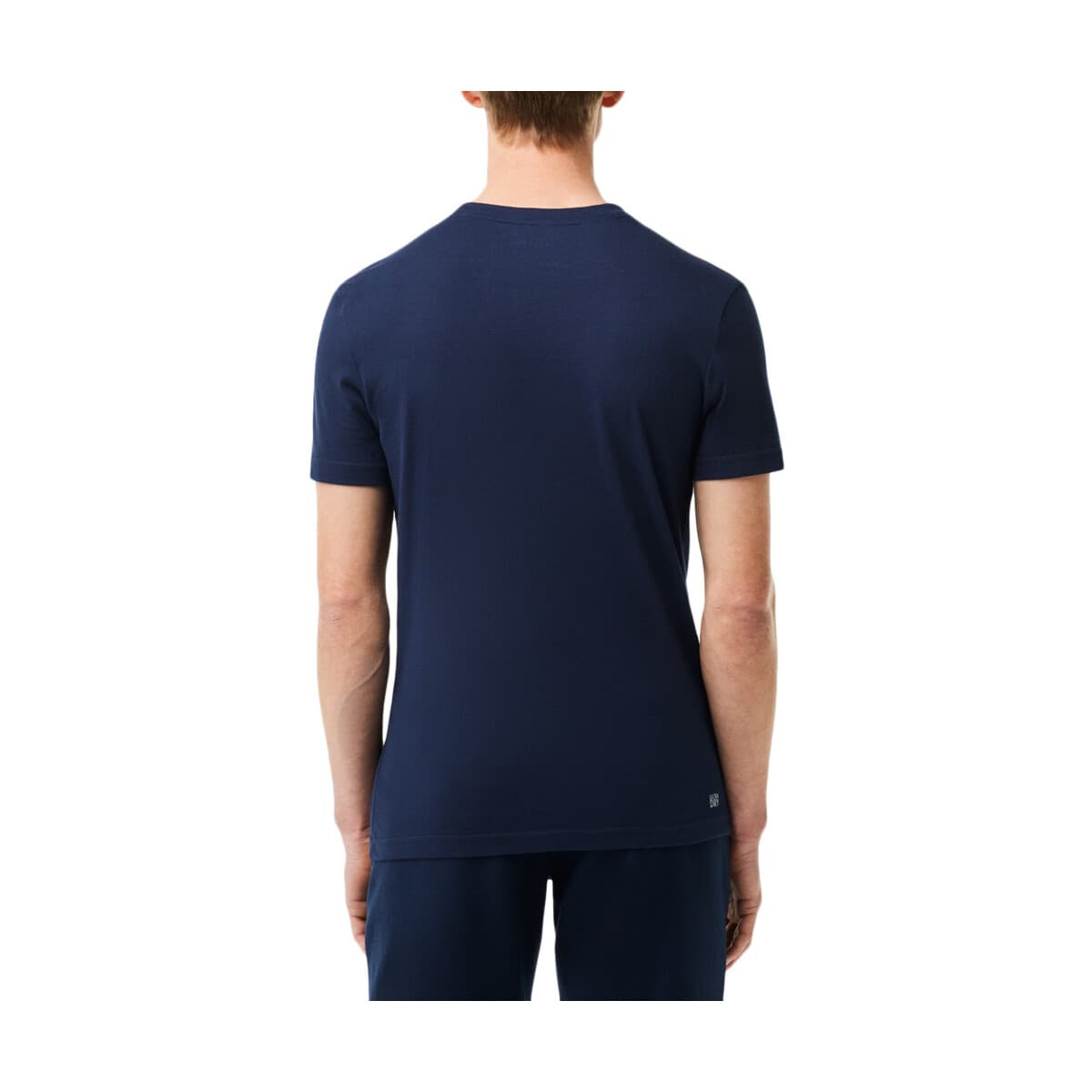 Men's T-Shirts Lacoste Multicolor