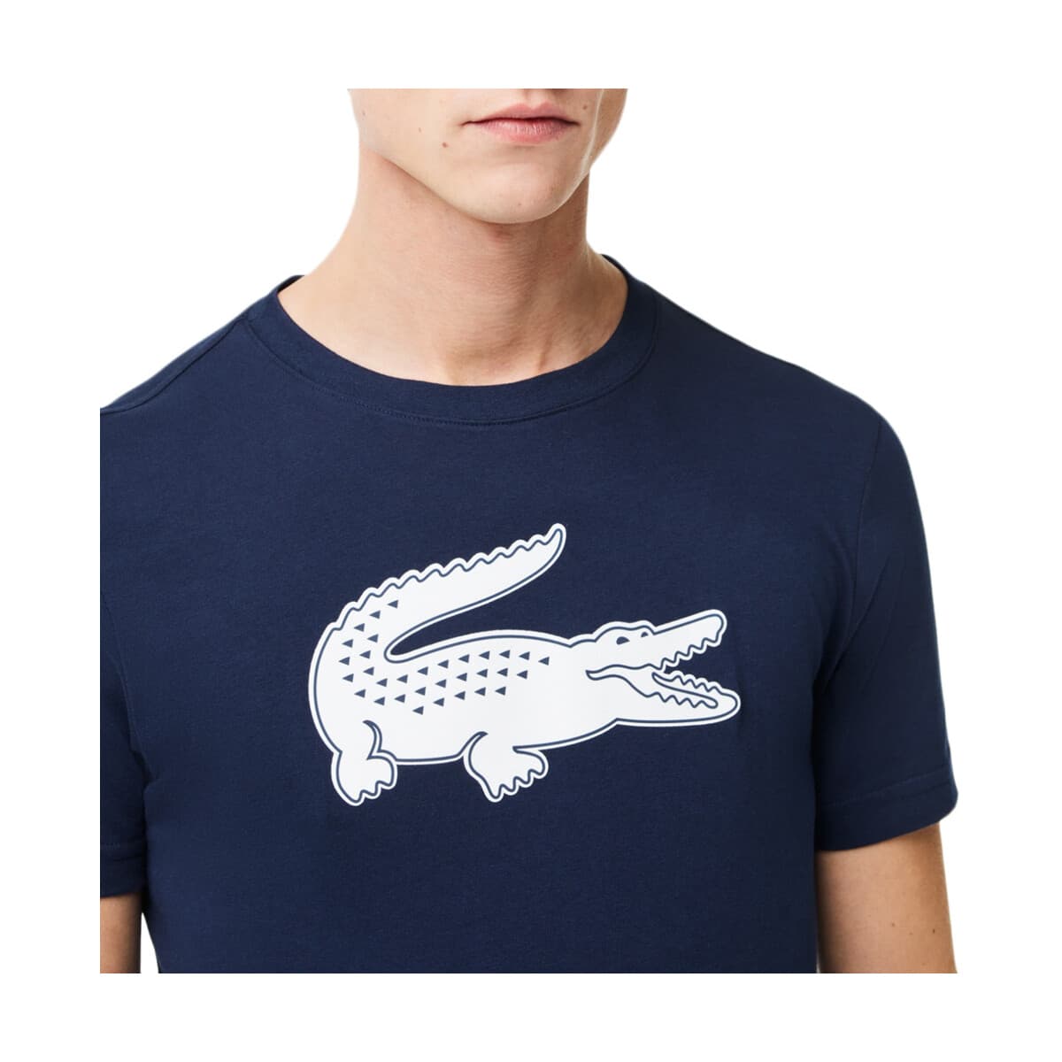 Men's T-Shirts Lacoste Multicolor