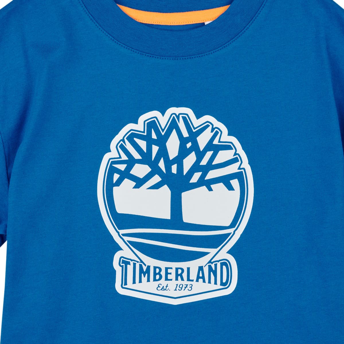 Boys' T-Shirts Timberland Blue