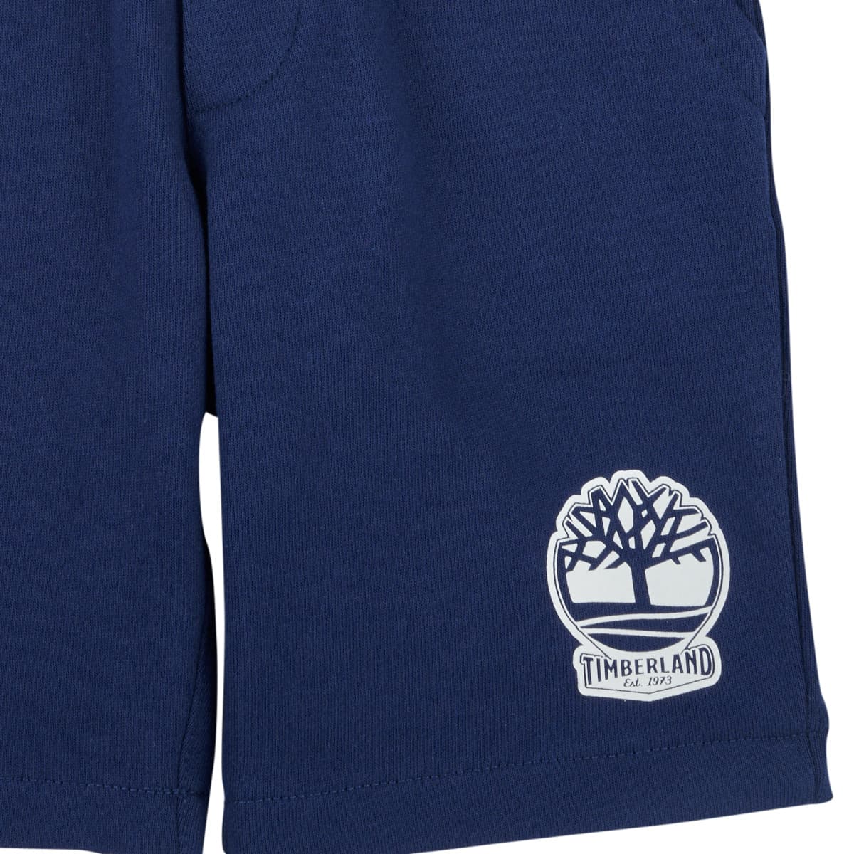 Boys' Shorts Timberland Blue