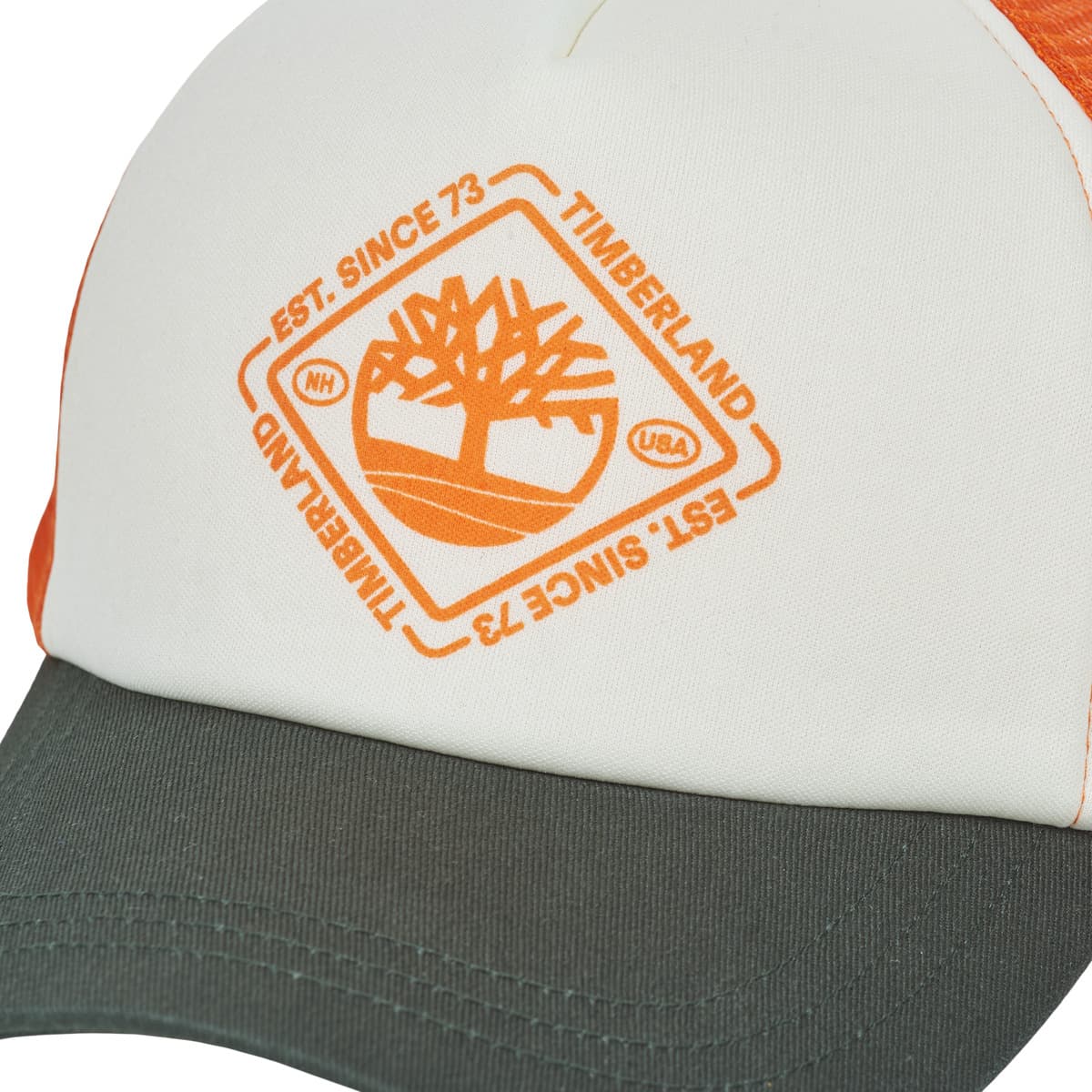 Boys' Caps Timberland Multicolor