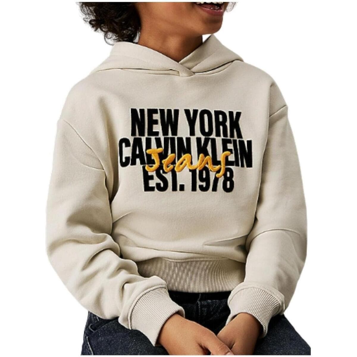 Boys' Hoodies & Sweatshirts Calvin Klein Beige