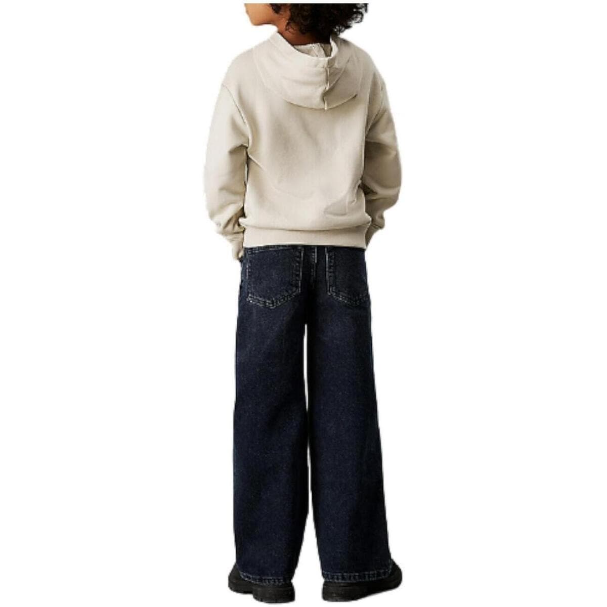 Boys' Hoodies & Sweatshirts Calvin Klein Beige