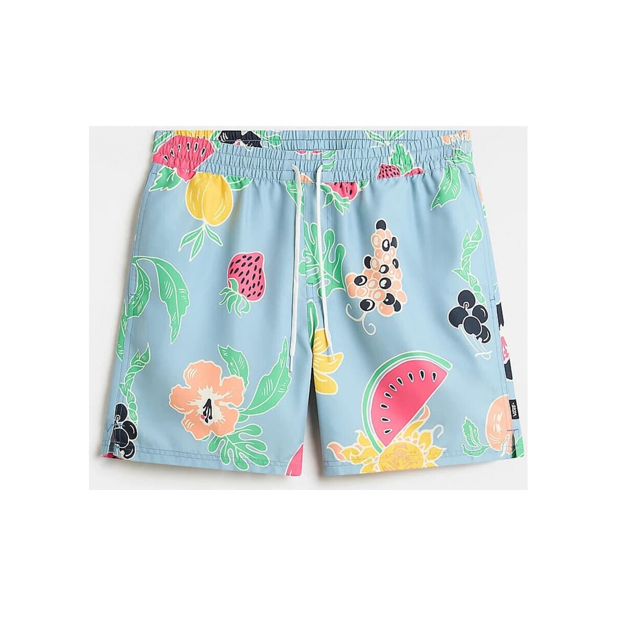 Men's Swimwear Vans Blue