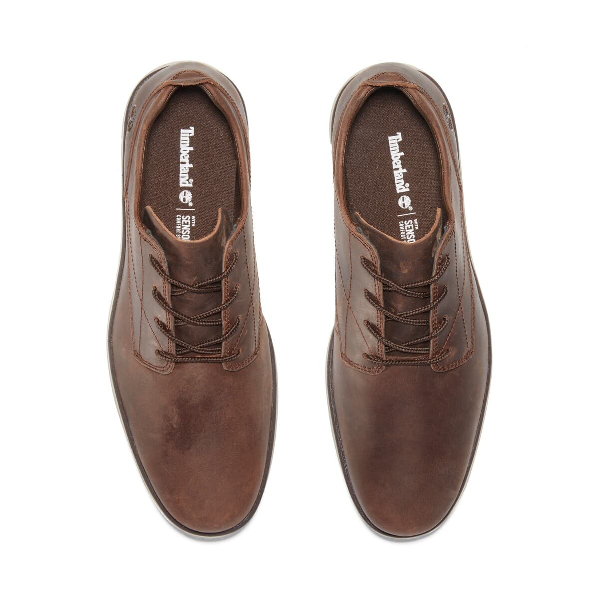 Men's Sneakers Timberland Brown