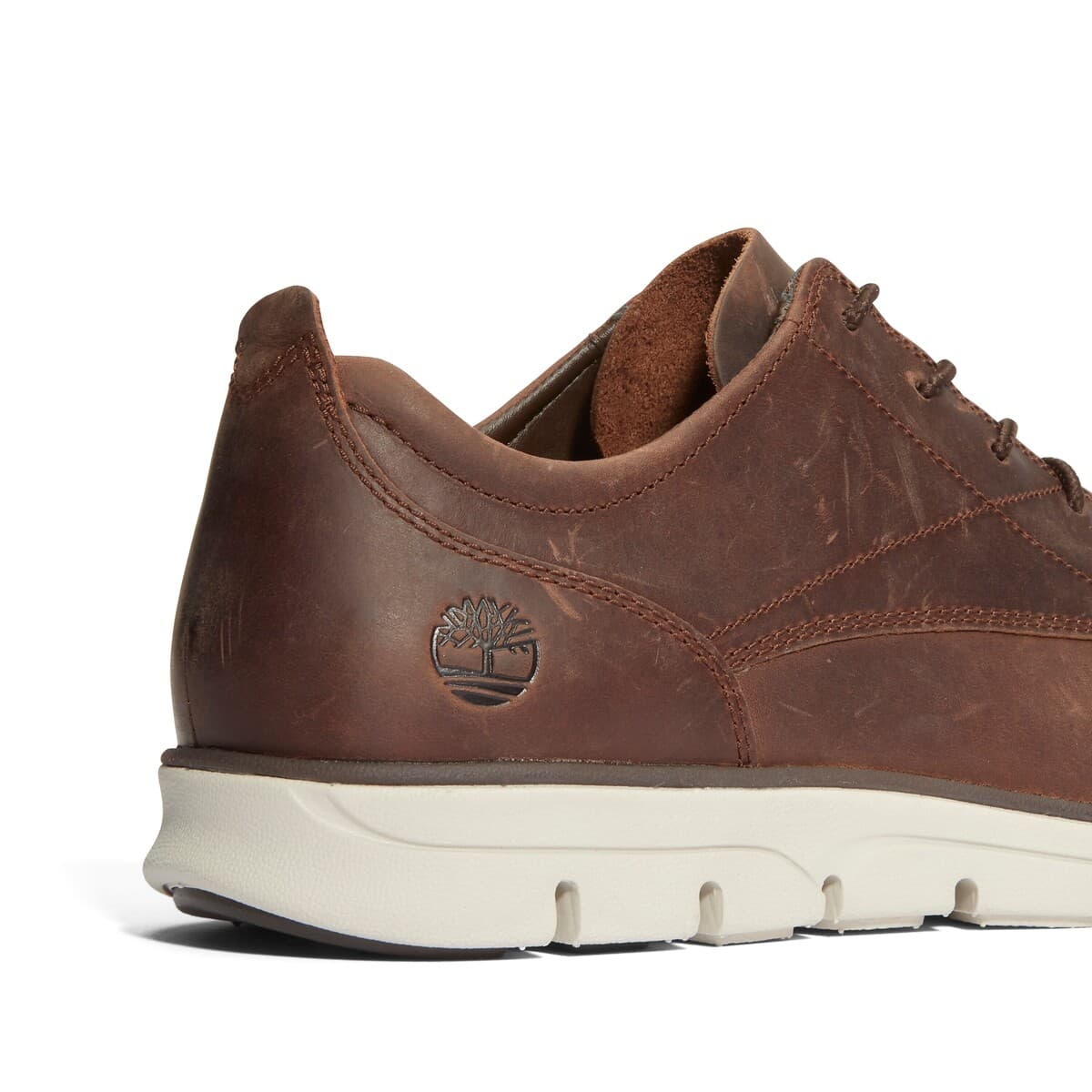 Men's Sneakers Timberland Brown