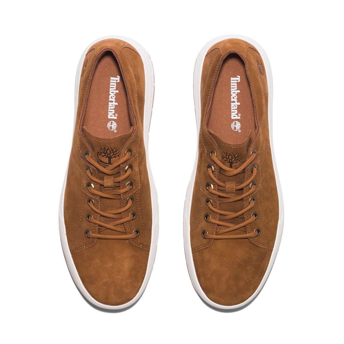 Men's Sneakers Timberland Brown