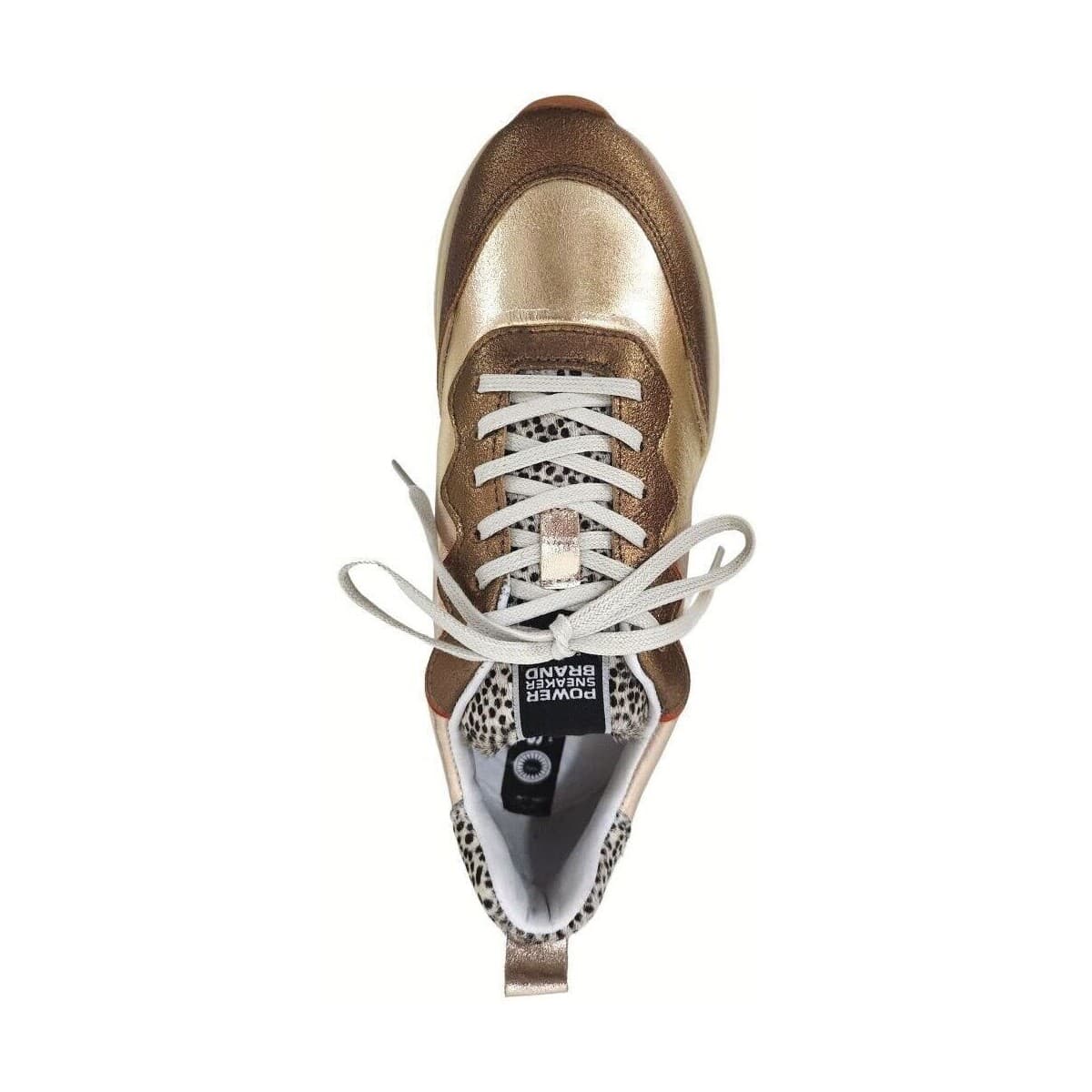 Women's Sneakers Shelter Gold