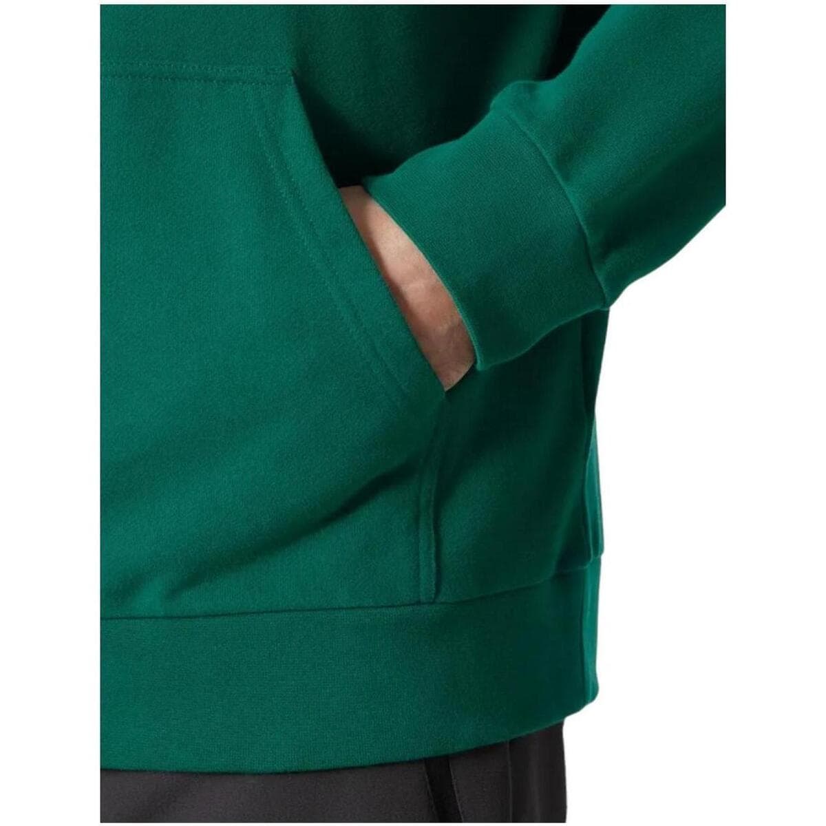 Men's Sweatshirts Helly Hansen Green