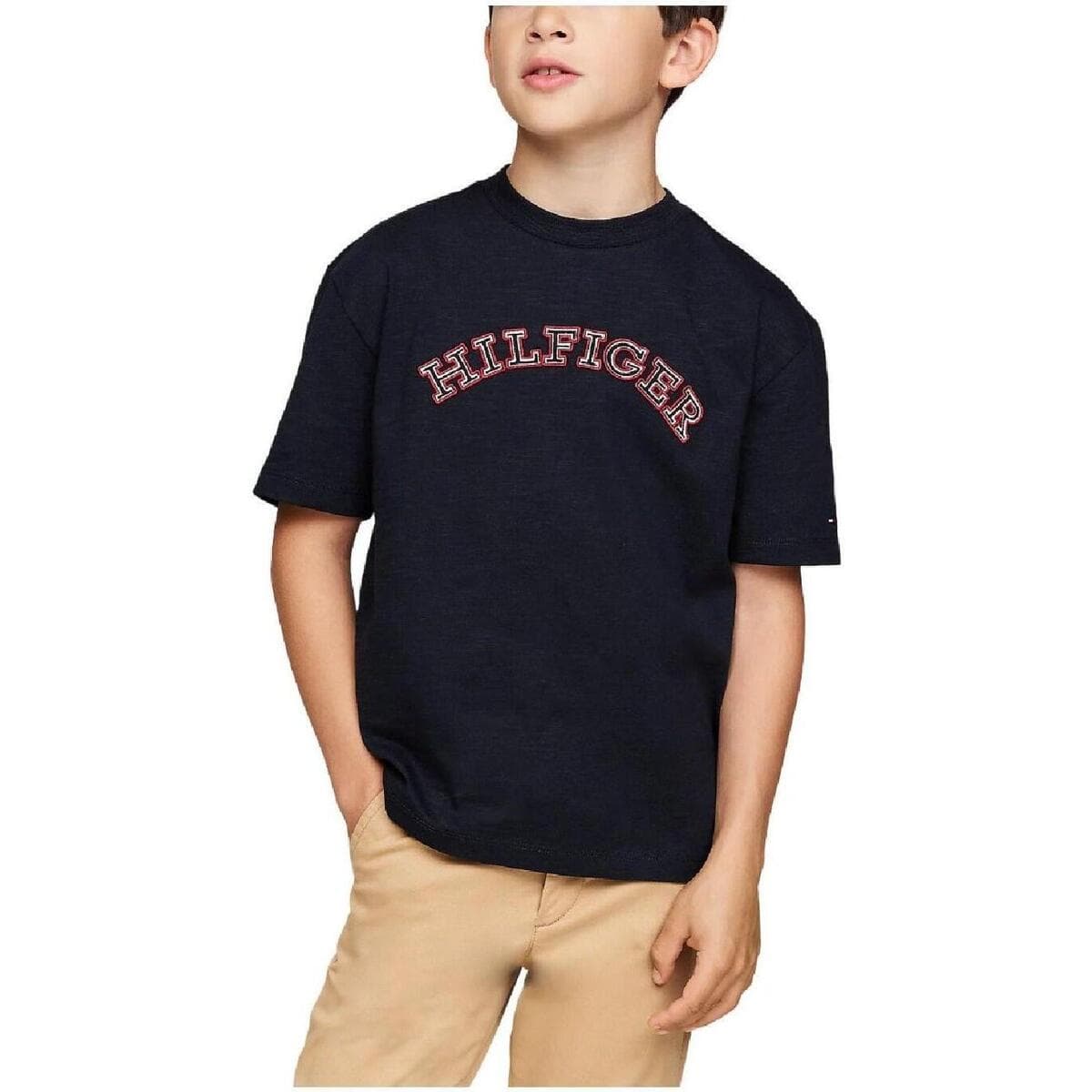 Boys' T-Shirts Tommy Hilfiger Blue