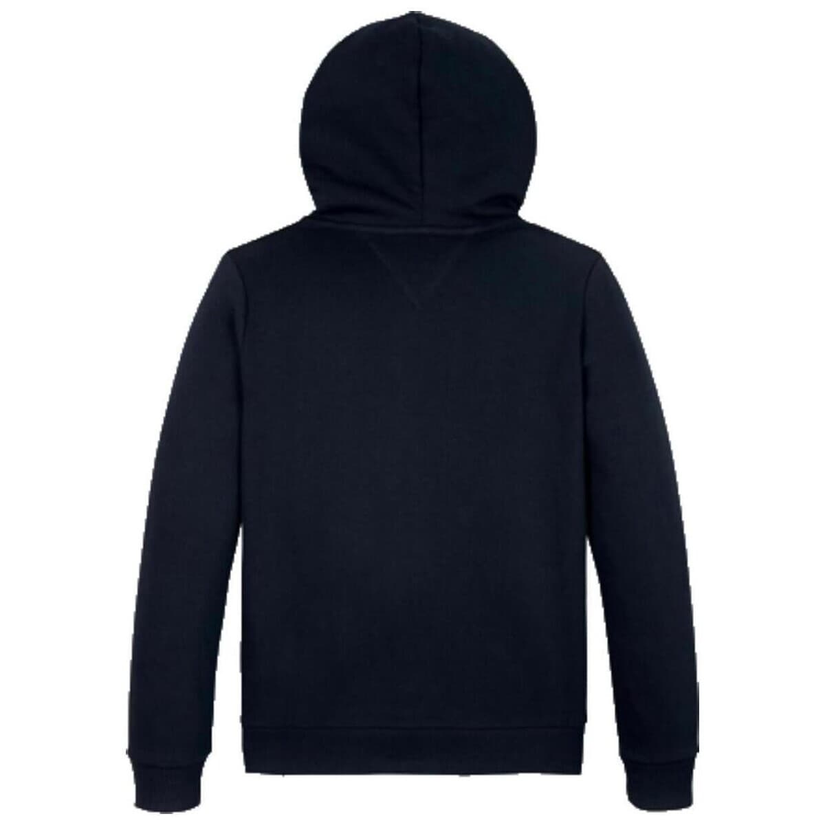 Boys' Hoodies & Sweatshirts Tommy Hilfiger Blue