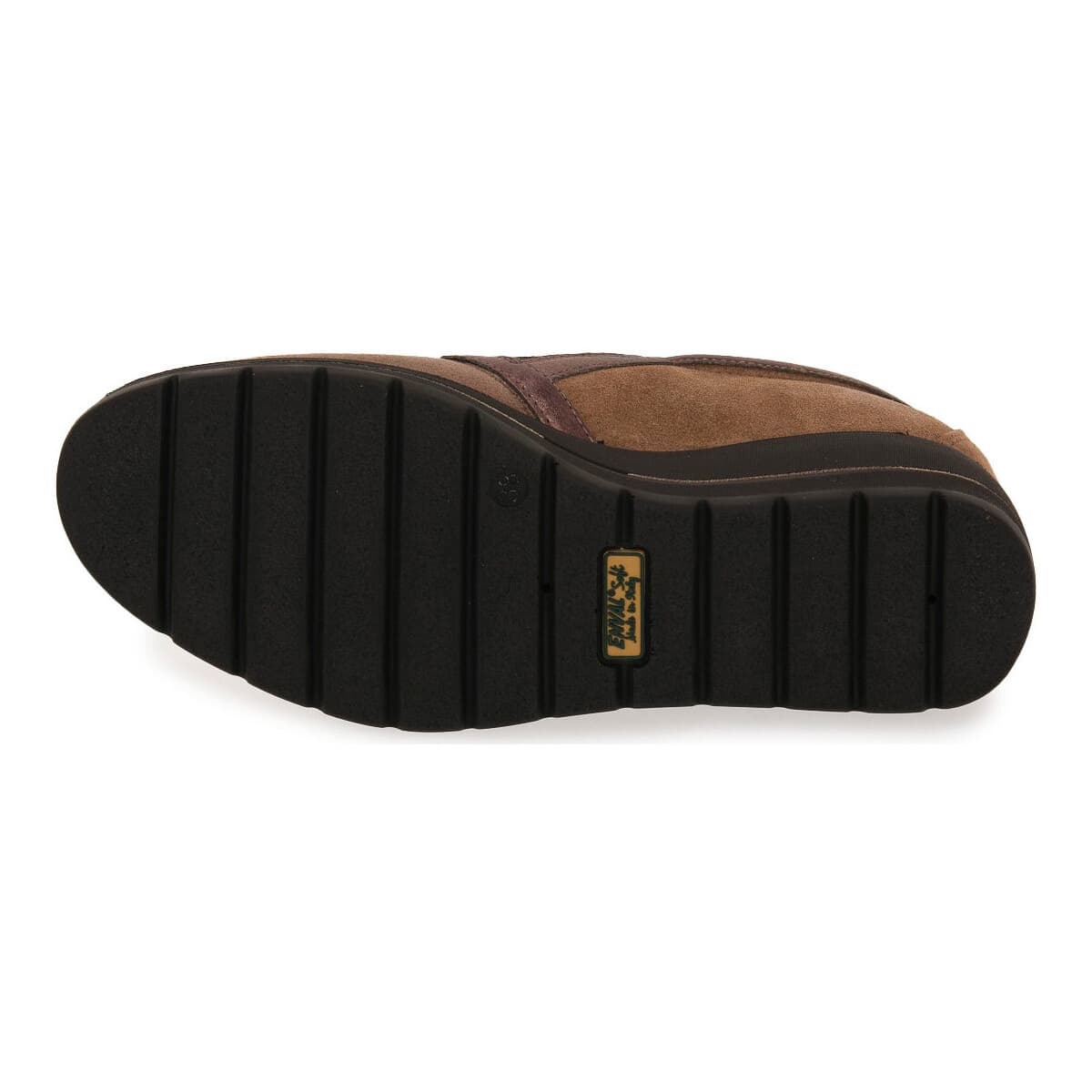 Women's Gym Shoes Enval Brown