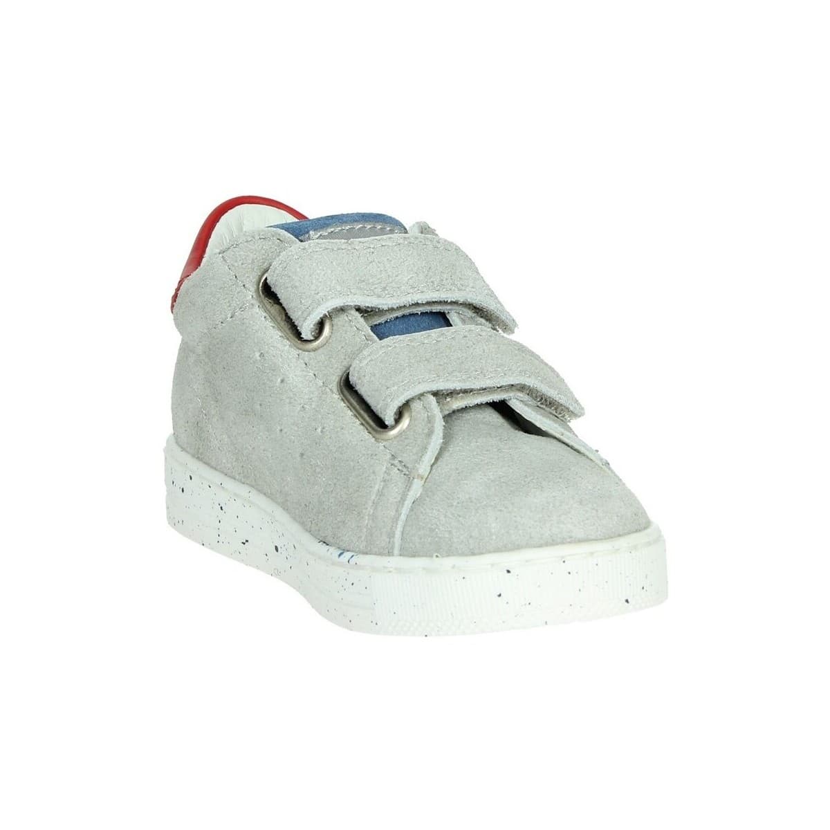 Boys' Sneakers Falcotto Gray