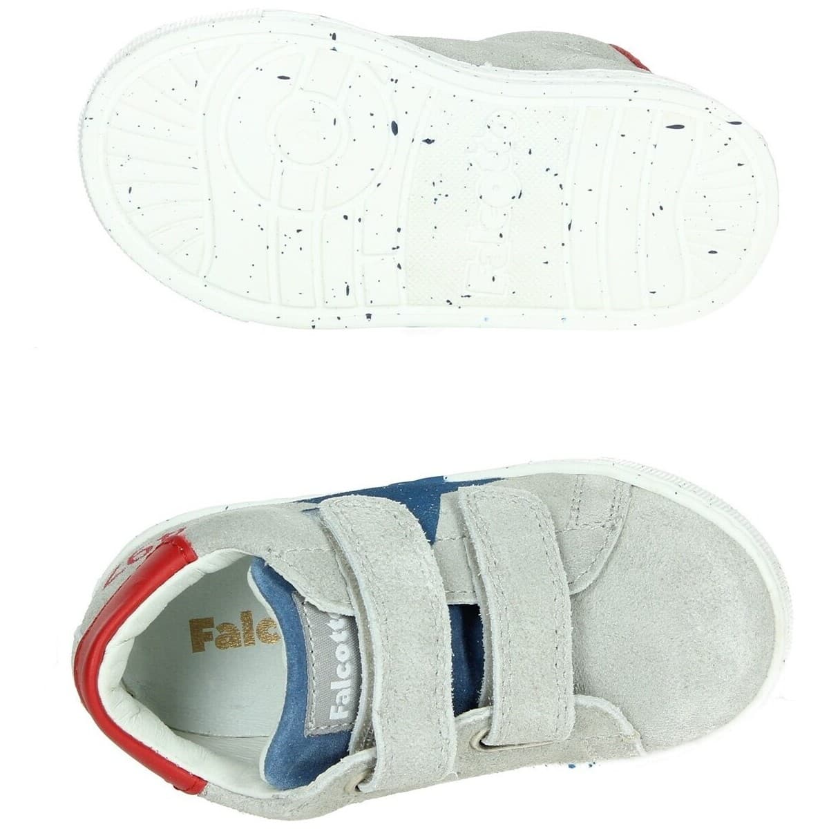 Boys' Sneakers Falcotto Gray