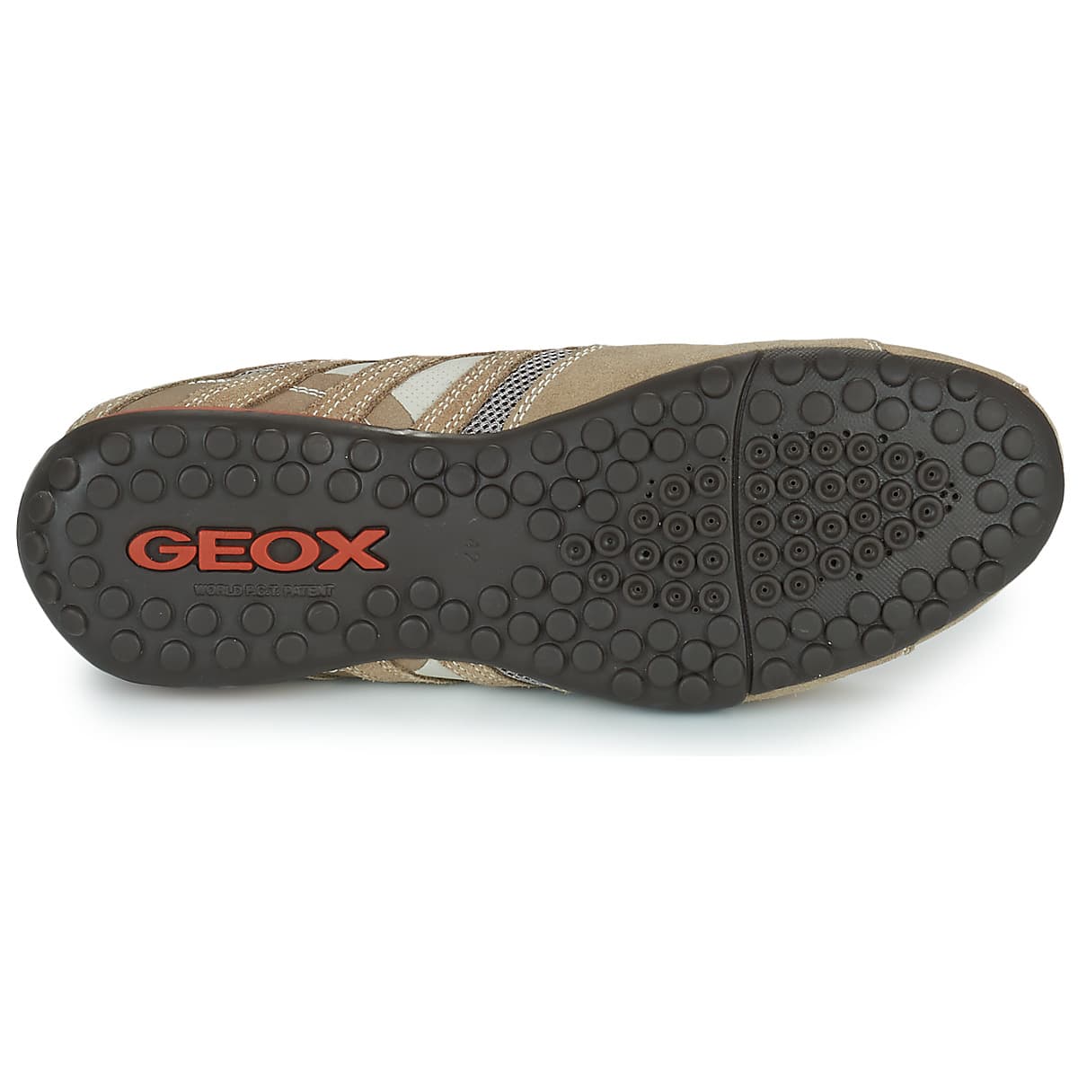 Men's Sneakers Geox Beige